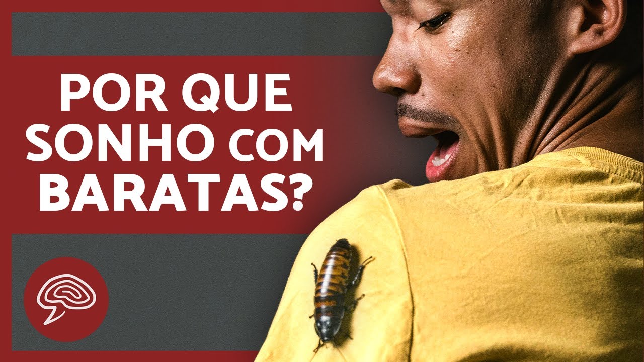 O que significa SONHAR com BARATAS? 🪳💤 (6 SIGNIFICADOS mais comuns de SONHAR com BARATAS)