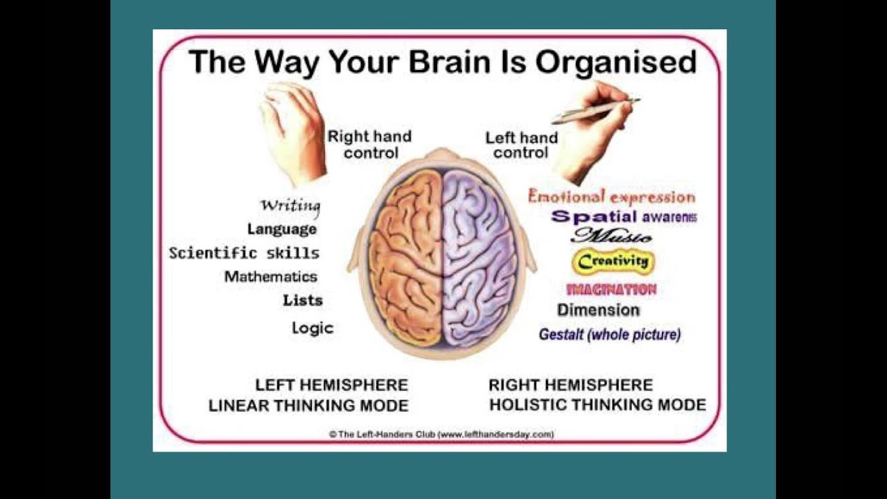 art concepts: right brain/left brain