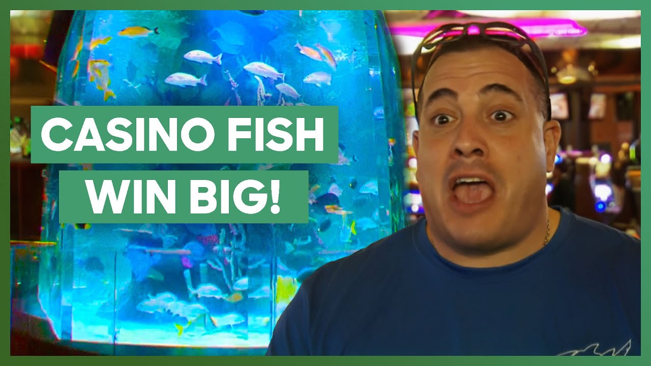 Casino Fish Tank Design Almost Ends in Tears! | Tanked