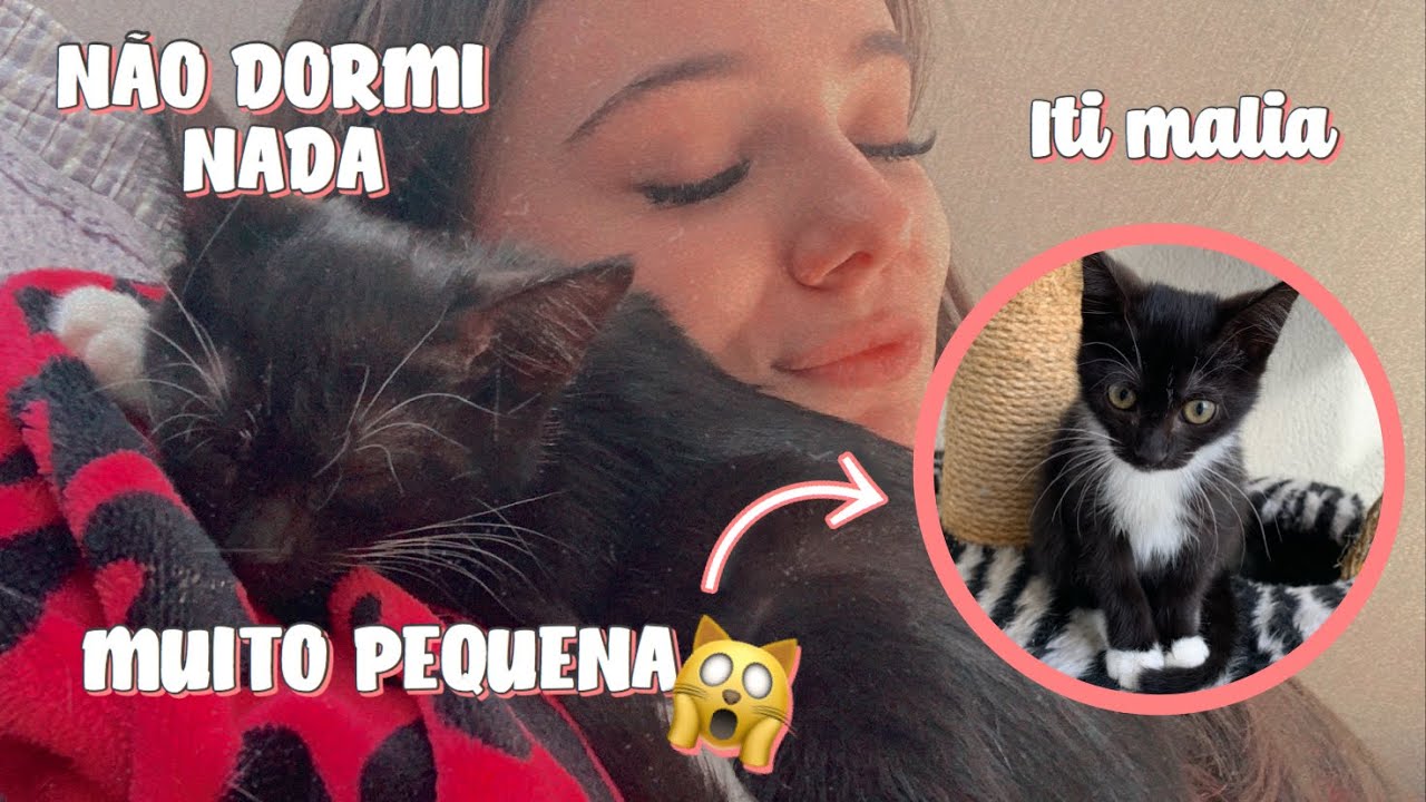 VLOG | ADOTEI UM GATINHO FILHOTE 😻