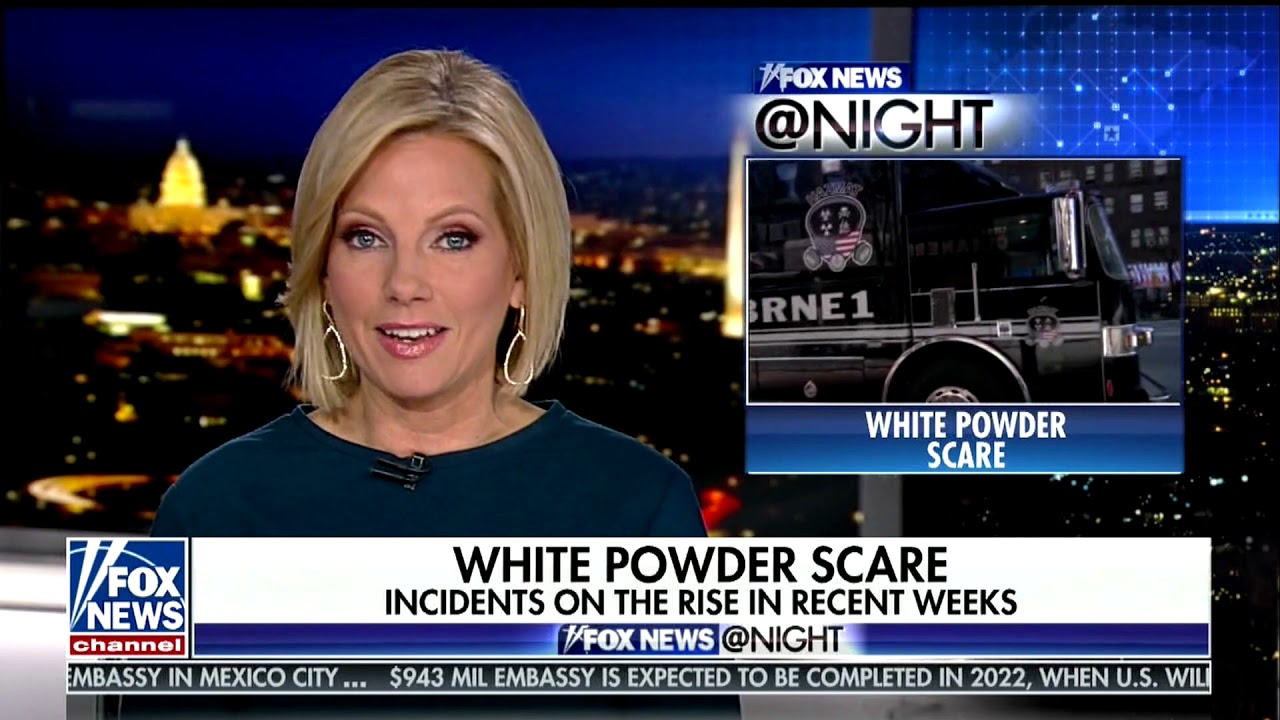 Fox News @ Night - Shannon Bream - February 13, 2018 - Archive