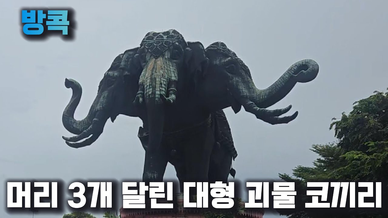 대체 코끼리 머리가 몇개야? 창 애라완 | 진짜 태국여행 #태국 #방콕 #여행유튜브