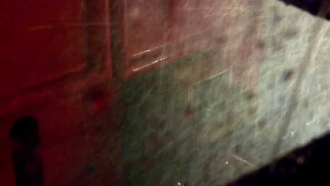 Car Wash: Ryko SoftGloss XS 2