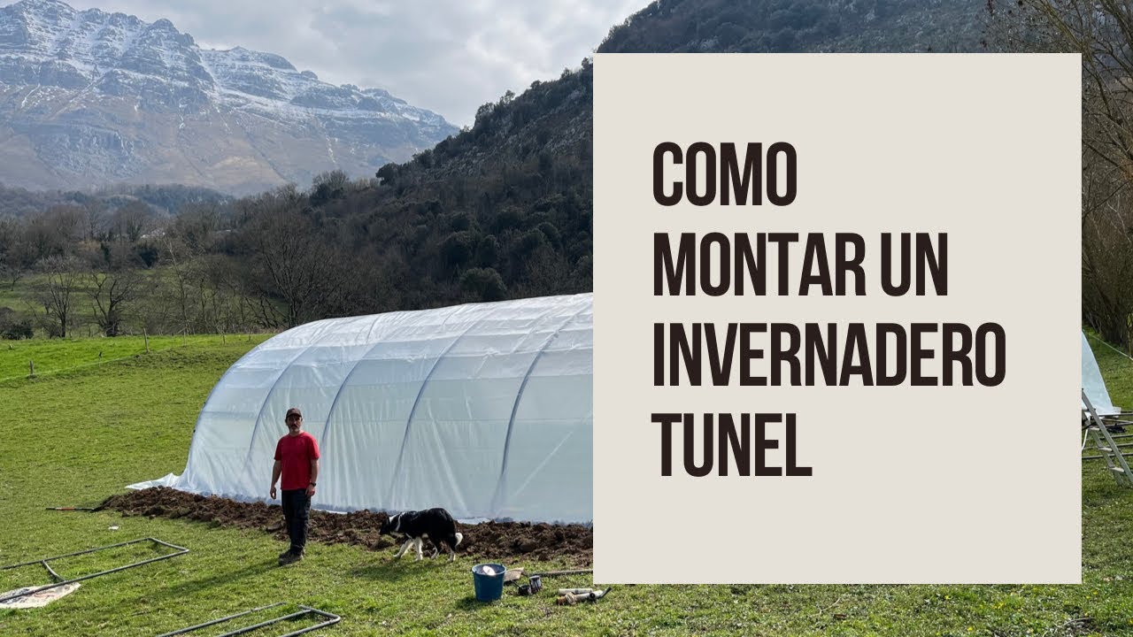 Montaje de invernadero tipo túnel