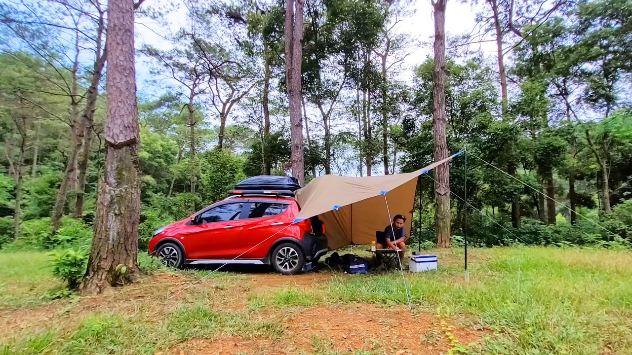 Camping with a small car in the middle of a vast pine forest