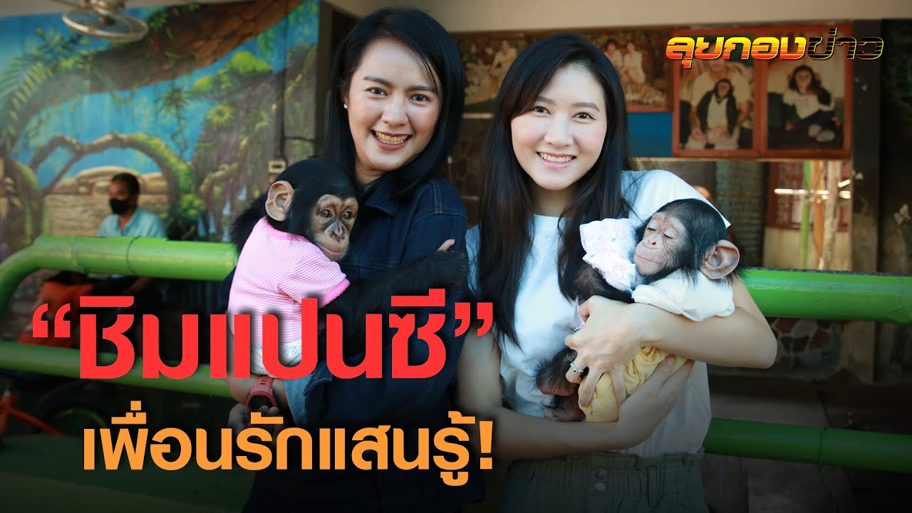 รักเหมือนลูก “ลิงชิมแปนซี” เพื่อนรัก! I ลุยกองข่าว2020#251