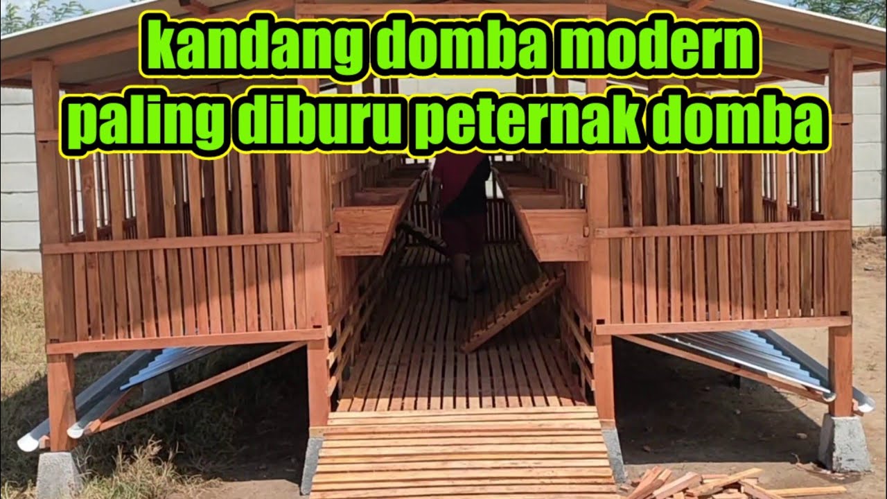 Spek lengkap kandang domba modern 8x4,5meter Boyolali +62 882-3919-9456