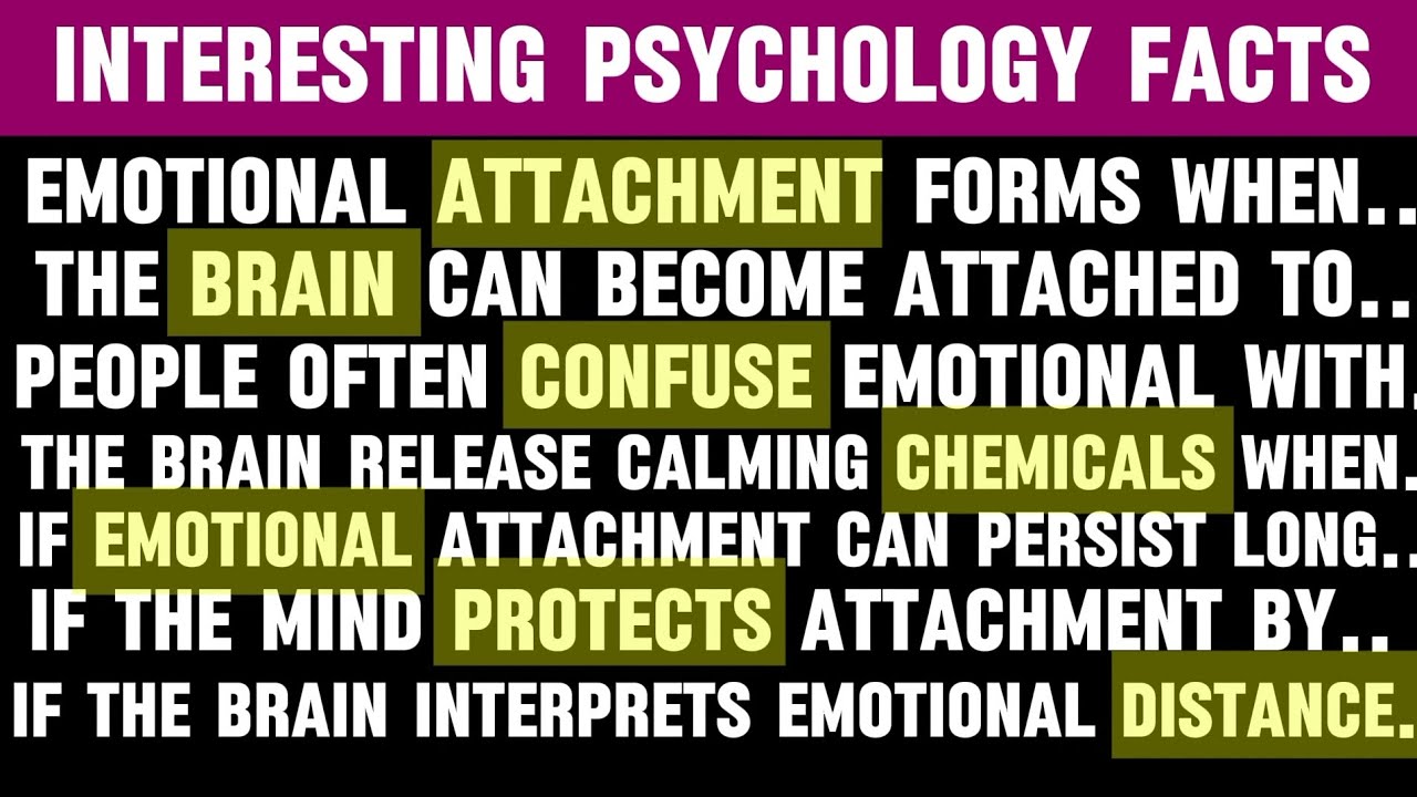 90 Psychology Facts About Emotional Attachment and the Human Mind | INTERESTING Psychology fact 