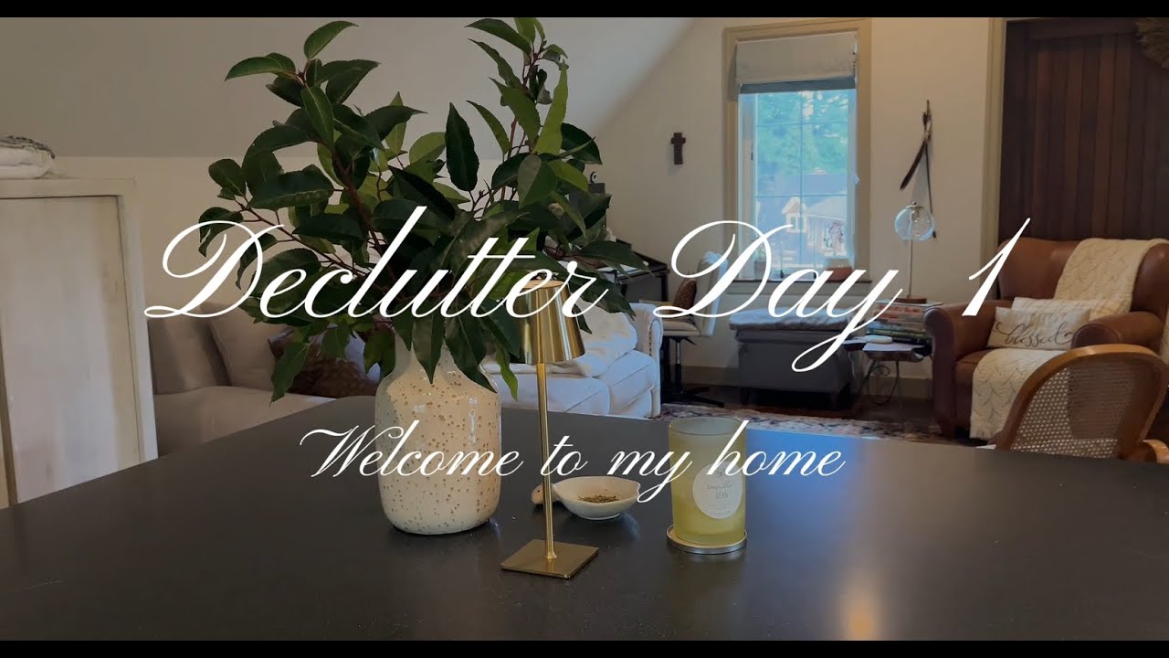 Declutter Day 1 - Intro and strategy