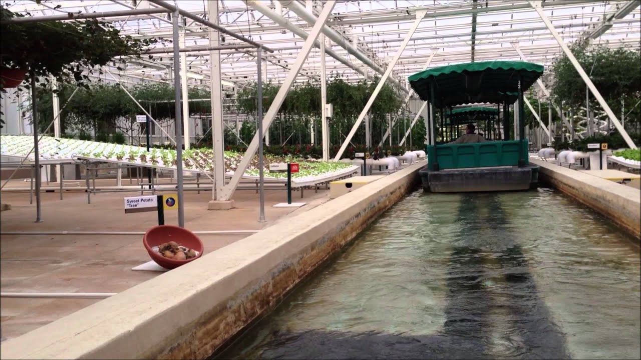 Greenhouses Inside of Living with the Land at Epcot