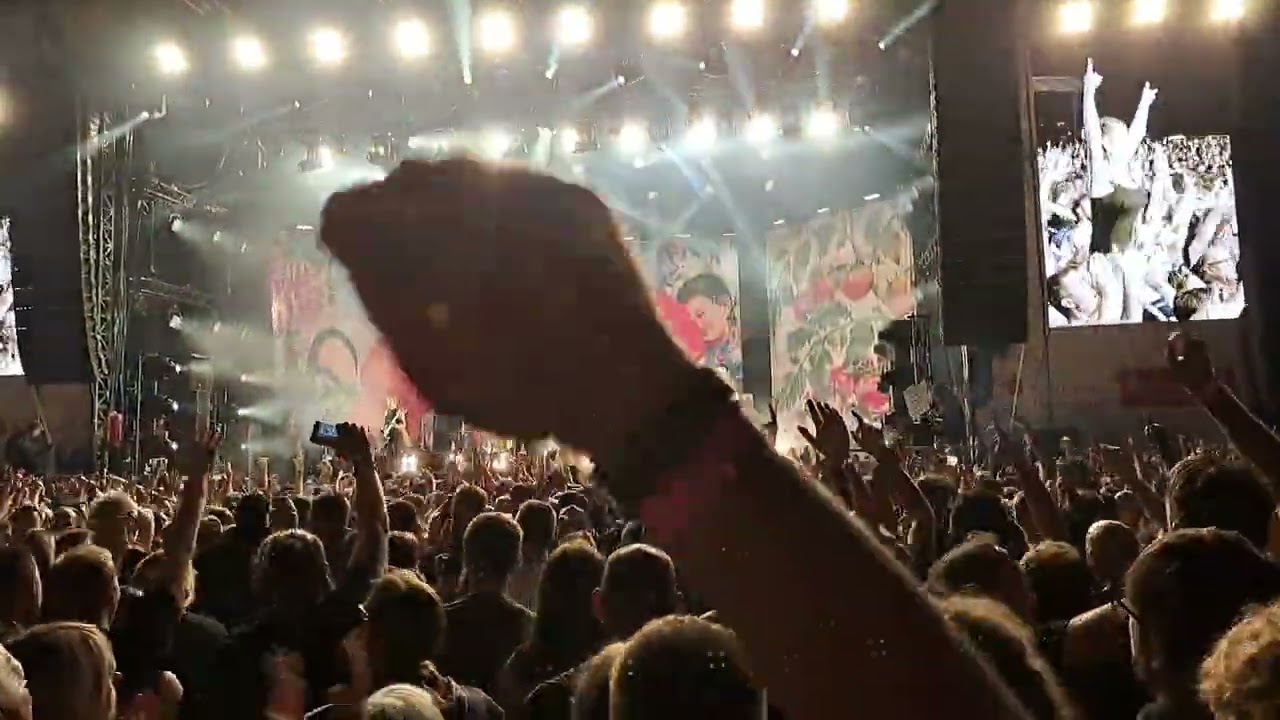 Meine Sache - Broilers Hessentag Pfungstadt 08.06.2023