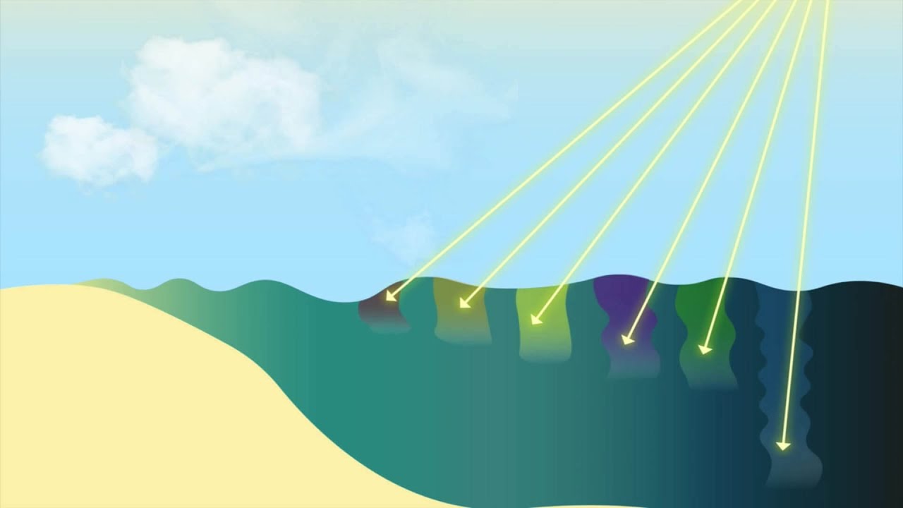 Warum ist das Meer blau? | colour.education