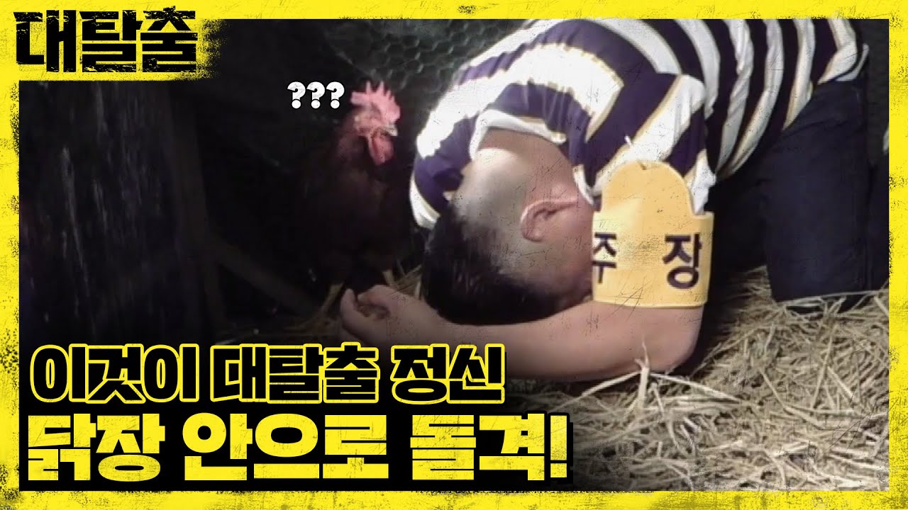 닭에 쪼여 죽은 사람은 없..었지? 닭장 속에 들어간 호동이 | 대탈출 Great escape 9회