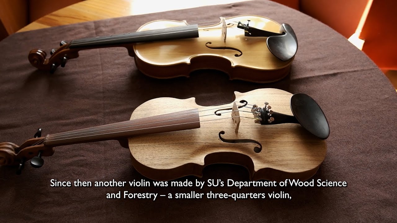 Indigenous wood plays first violin
