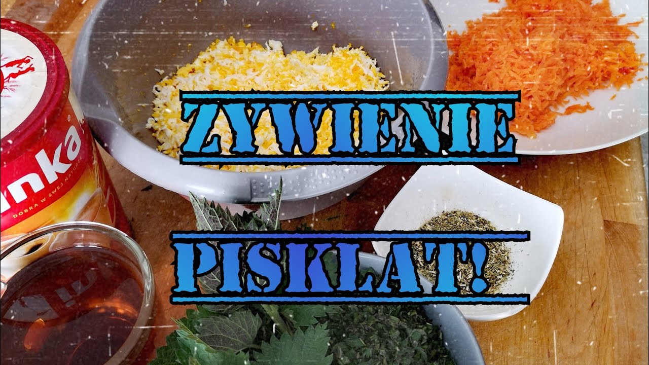 Hodowla Kur - Żywienie Piskląt 🌾🐥| Zioła w ich żywieniu! 🌾🌱