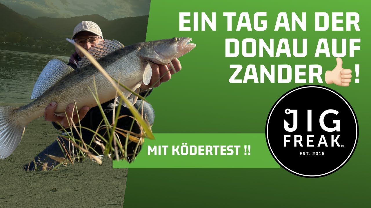 Ein Tag an der Donau auf Zander