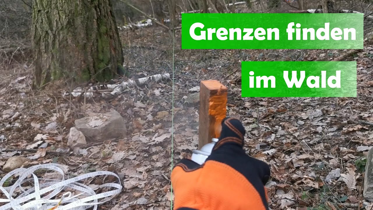 Grenzen ziehen im Wald
