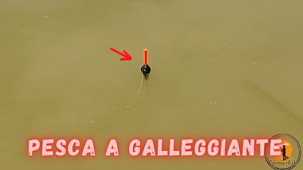 PESCARE LE CARPE A GALLEGGIANTE (sempre bello da vedere)