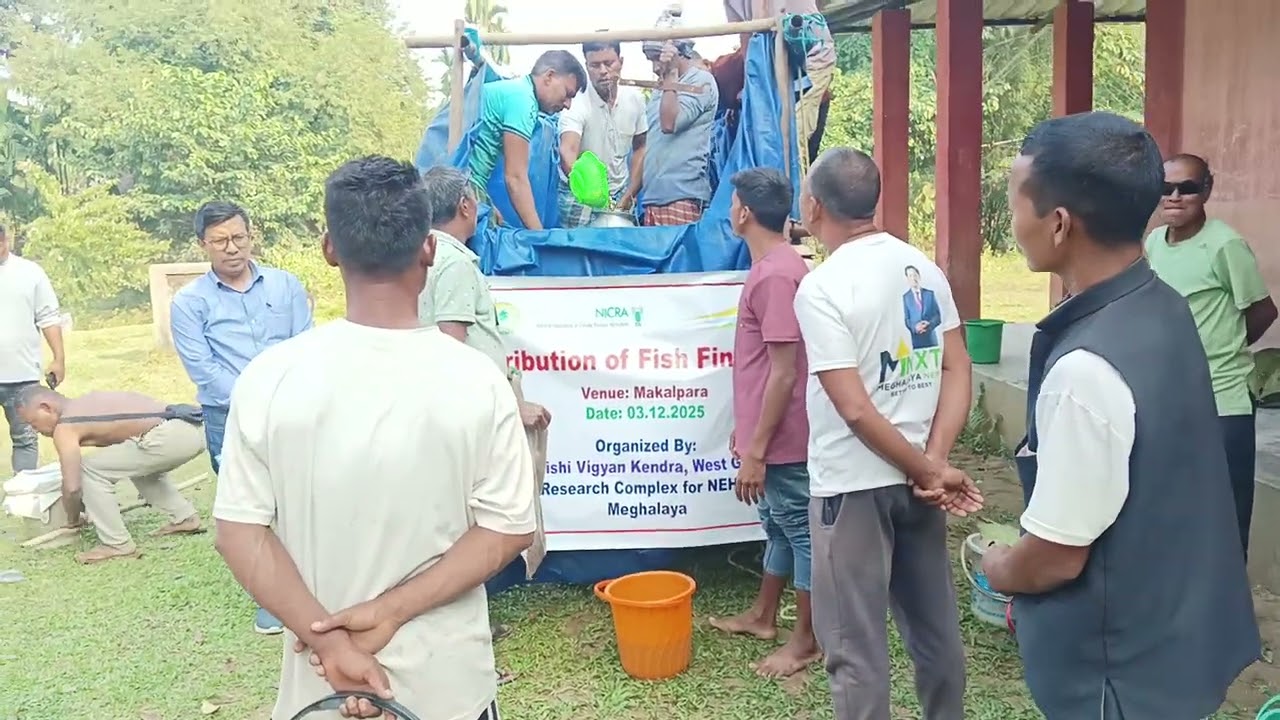 Fish fingerlings distribution