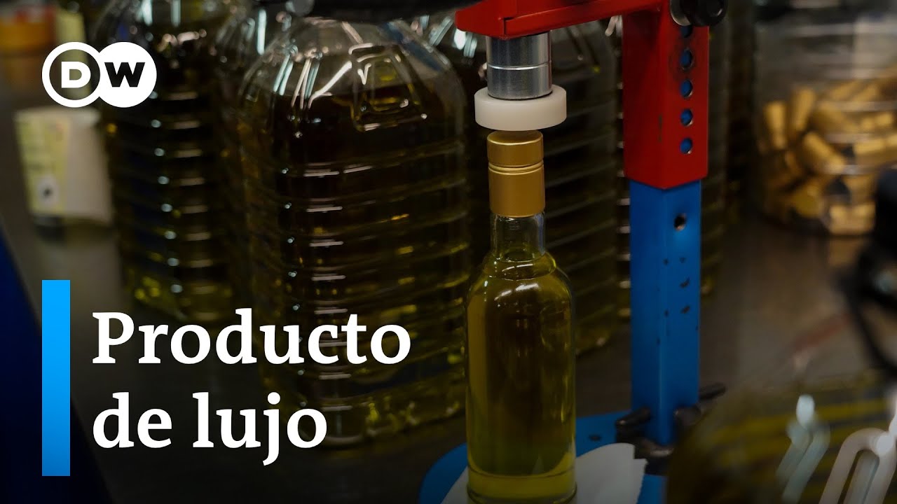El precio del aceite de oliva se duplica en un año debido a la sequía