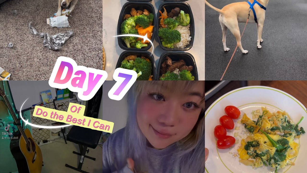 Day 7 of do the best I can ~ daily vlog~ 