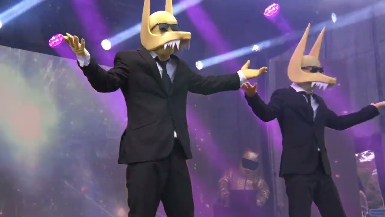 Subwoolfer Concert: NärCon Sommar 2023