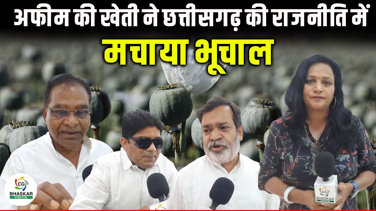 अफीम की खेती ने छत्तीसगढ़ की राजनीति में मचाया भूचाल, कांग्रेस ने खोला मोर्चा |veena | CG Bhaskar