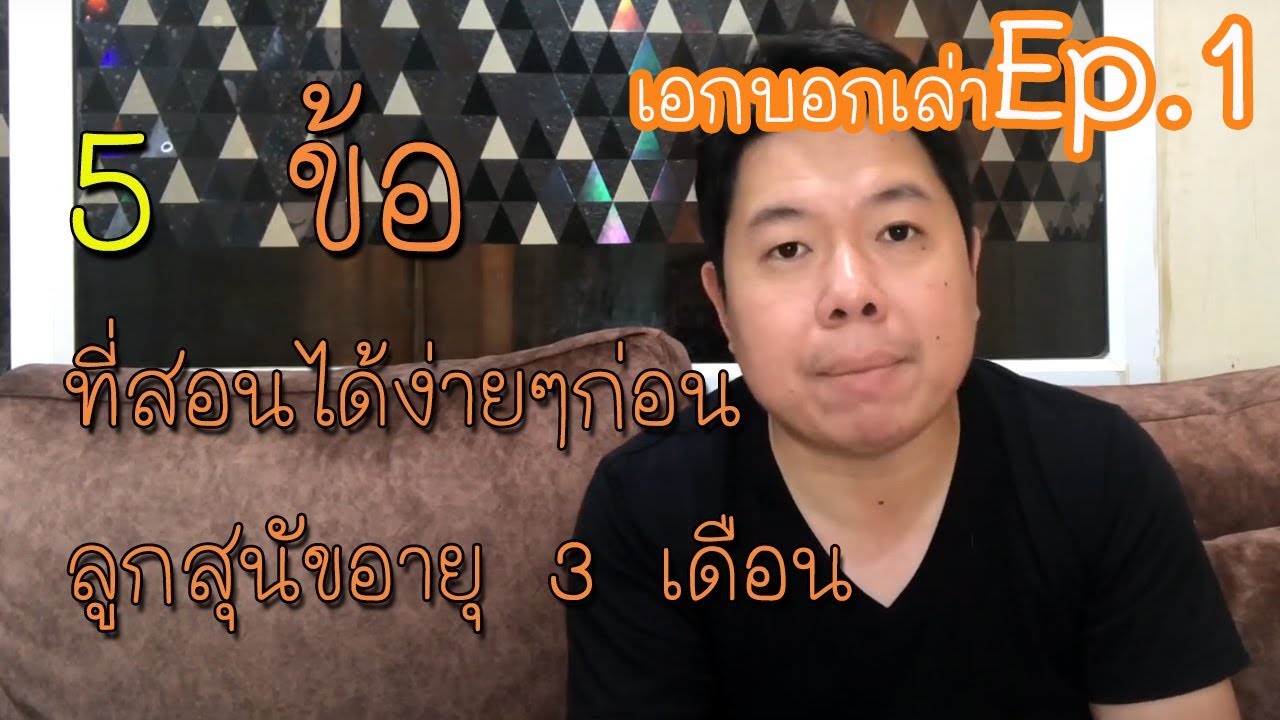 5 สิ่งที่ต้องรีบสอนก่อนลูกหมาอายุ 3 เดือน | โตไปจะนิ่ง–ไม่ดื้อ!