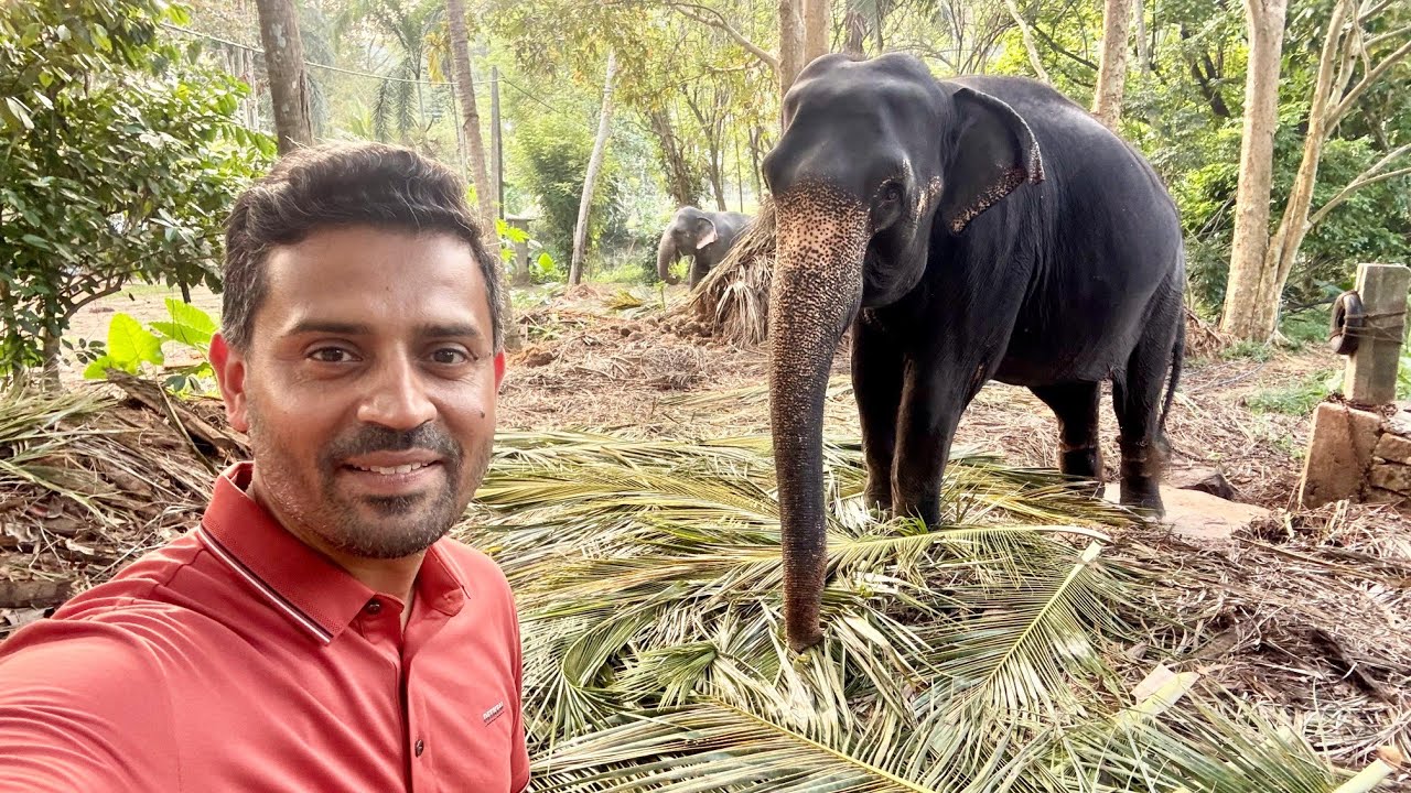 Travel Vlog - PAK Performance in T20 World Cup and Visit to Happy Elephant from Kandy to Rambukkana