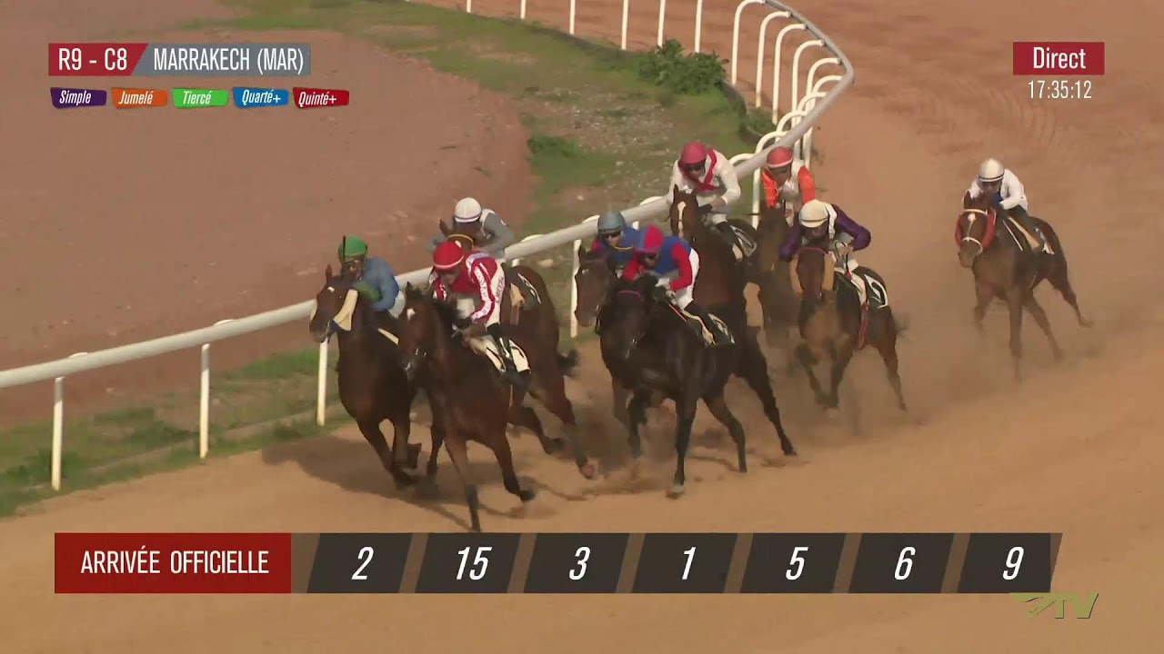 Live Hippodrome « MARRAKECH » Courses du « 31/01/2026 »