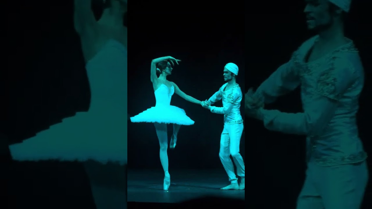 Дмитрий Смилевски (дебют), Ева Сергеенкова, Баядерка, Л. Минкус, 25.01.26