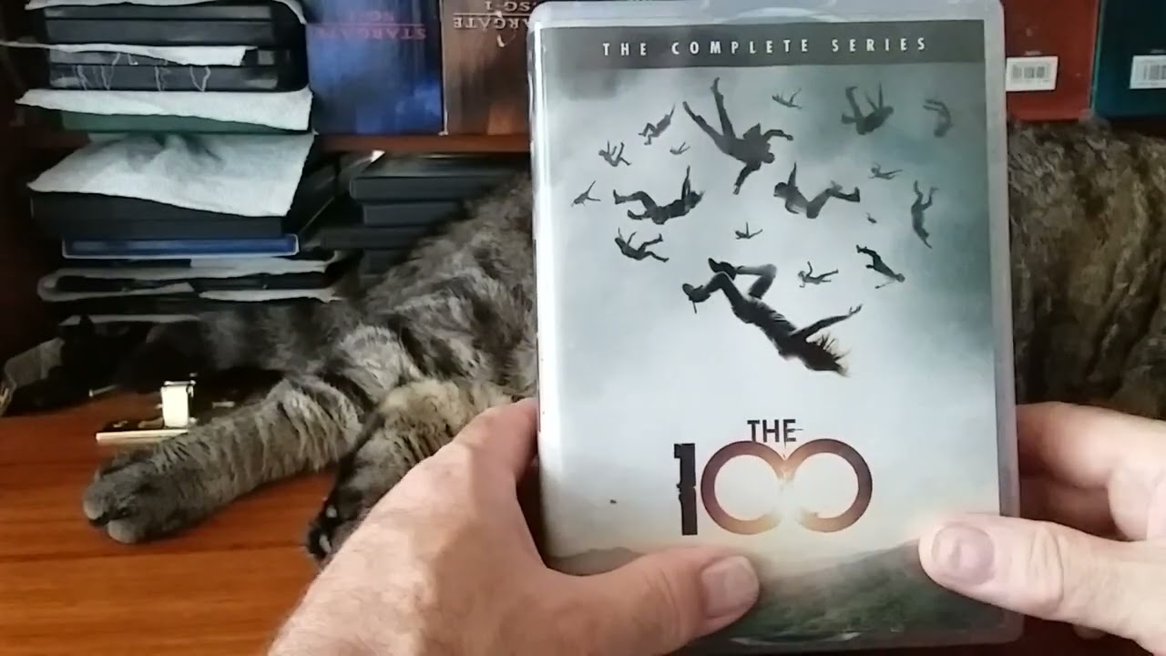 The 100: Series /DVD Review