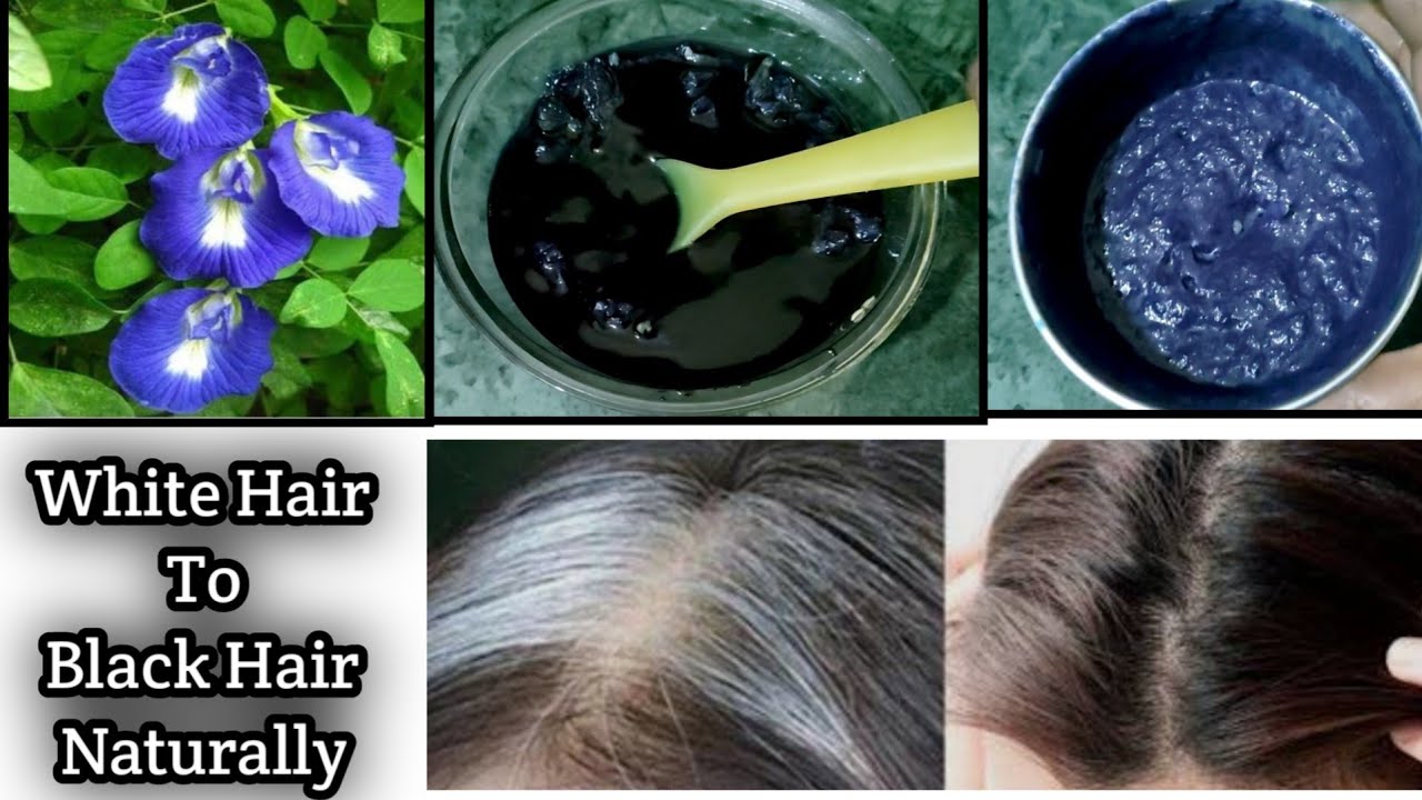 Butterfly Pea Flower Hair Colour//Natural Hair colour in telugu//Surya's Food And Beauty