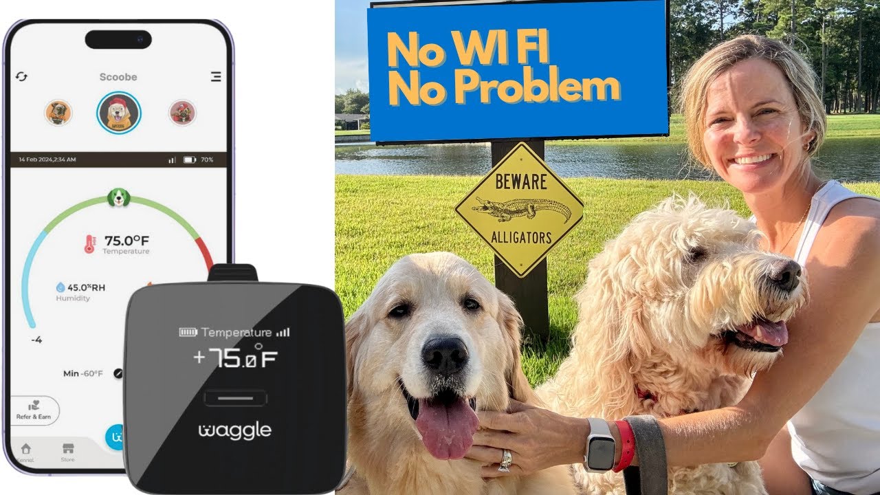 Keep your Pets Safe in the RV Temperature monitoring #waggle #wagglepet