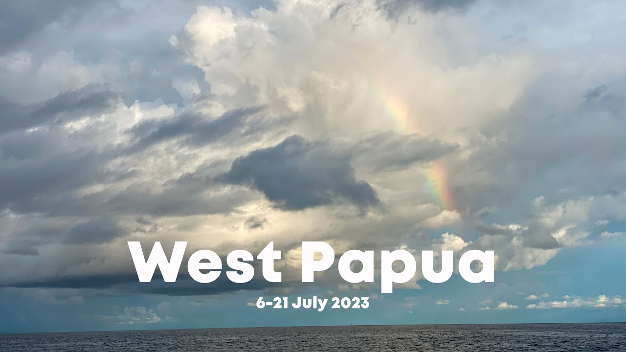 Birds of Paradise in West Papua
