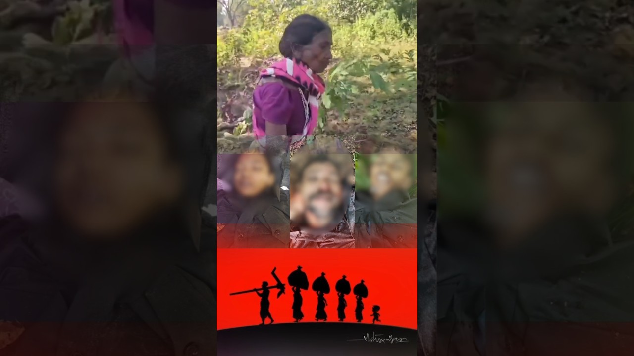 #hidma #hidmaencounter #hidmamother #maoisthidma #maoistencounter #adivasi #adivasileader #cpi #cpm