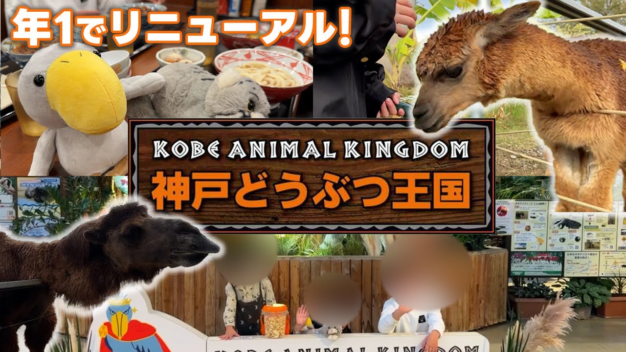 【神戸vlog】神戸どうぶつ王国へ！動物との距離が近すぎて癒し時間が最高すぎた❤️