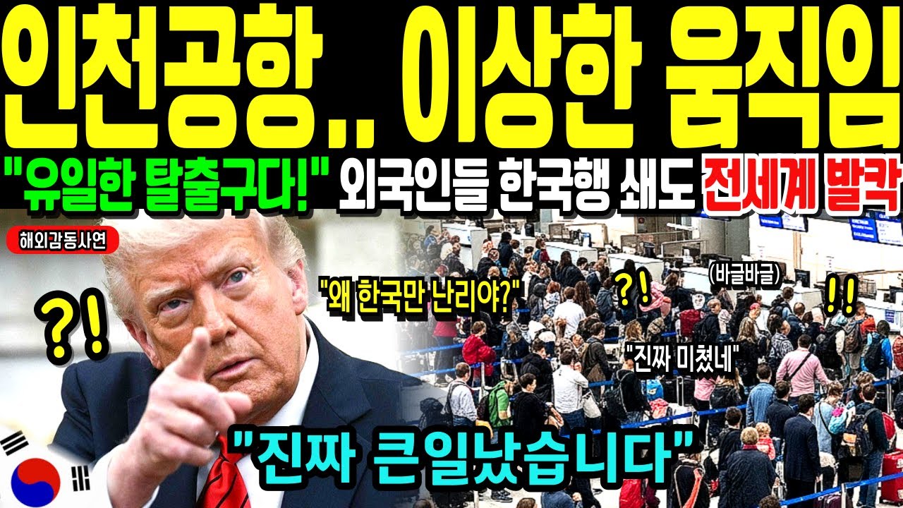 [해외감동사연] 인천공항 입국대란 이상한 일이 벌어졌습니다. 인천공항 440% 폭증.. 유럽 중산층이 커리어 포기하고 한국 온 이유는?