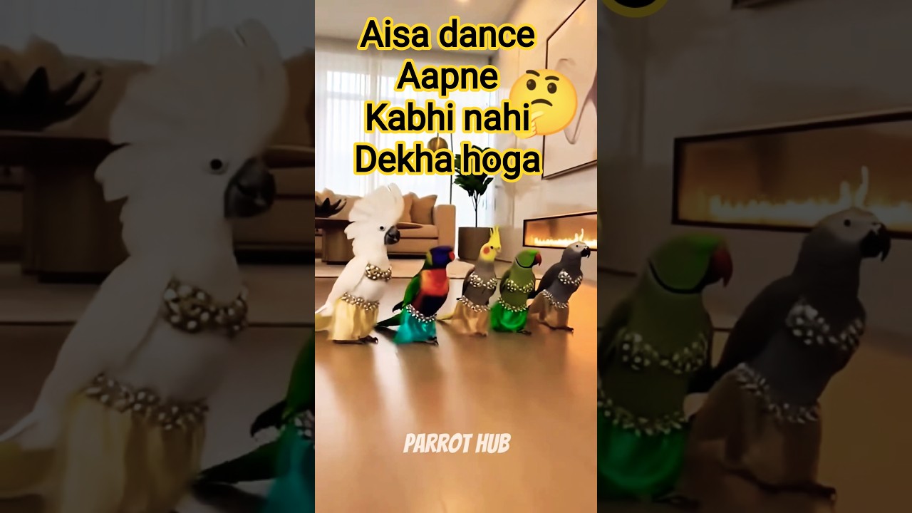PARROT HUB REAL DANCE 