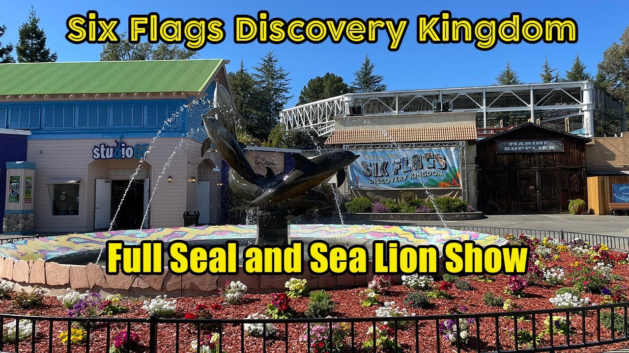 Six Flags Discovery Kingdom full Seal and Sea Lion show