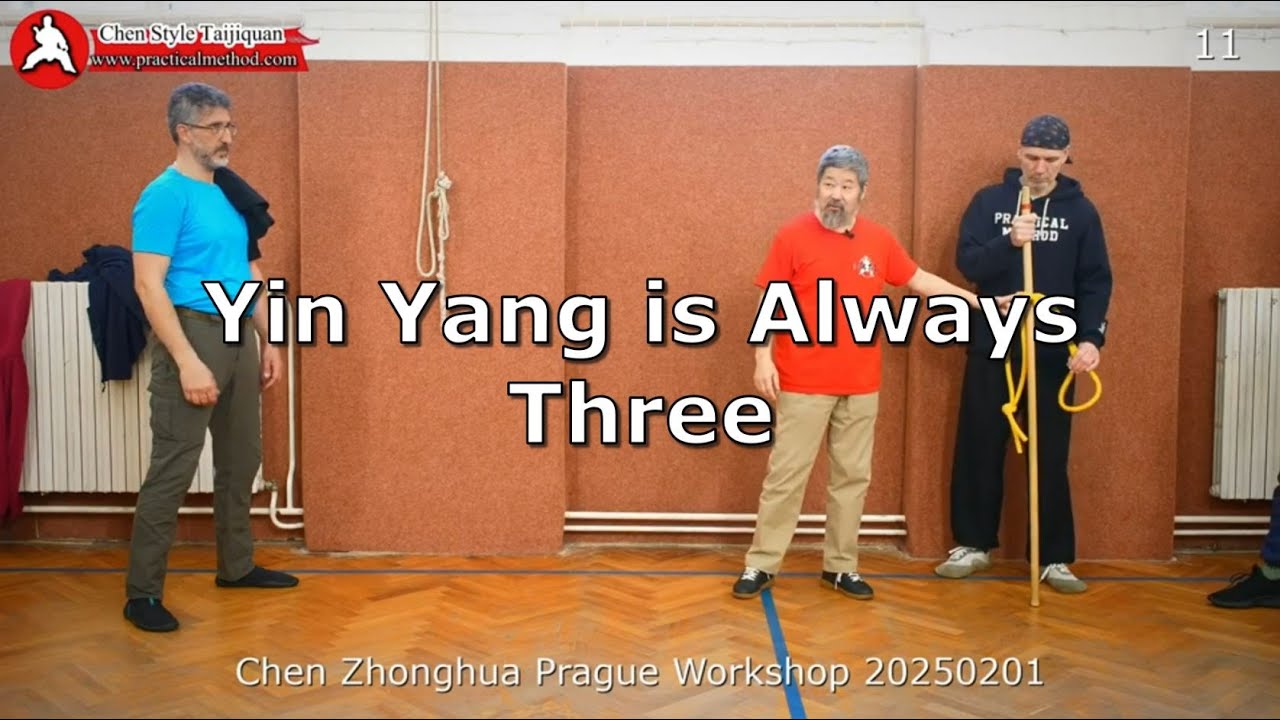 Trailer - Yin Yang is Always Three - Master Chen Zhonghua - 2025 Prague Workshop
