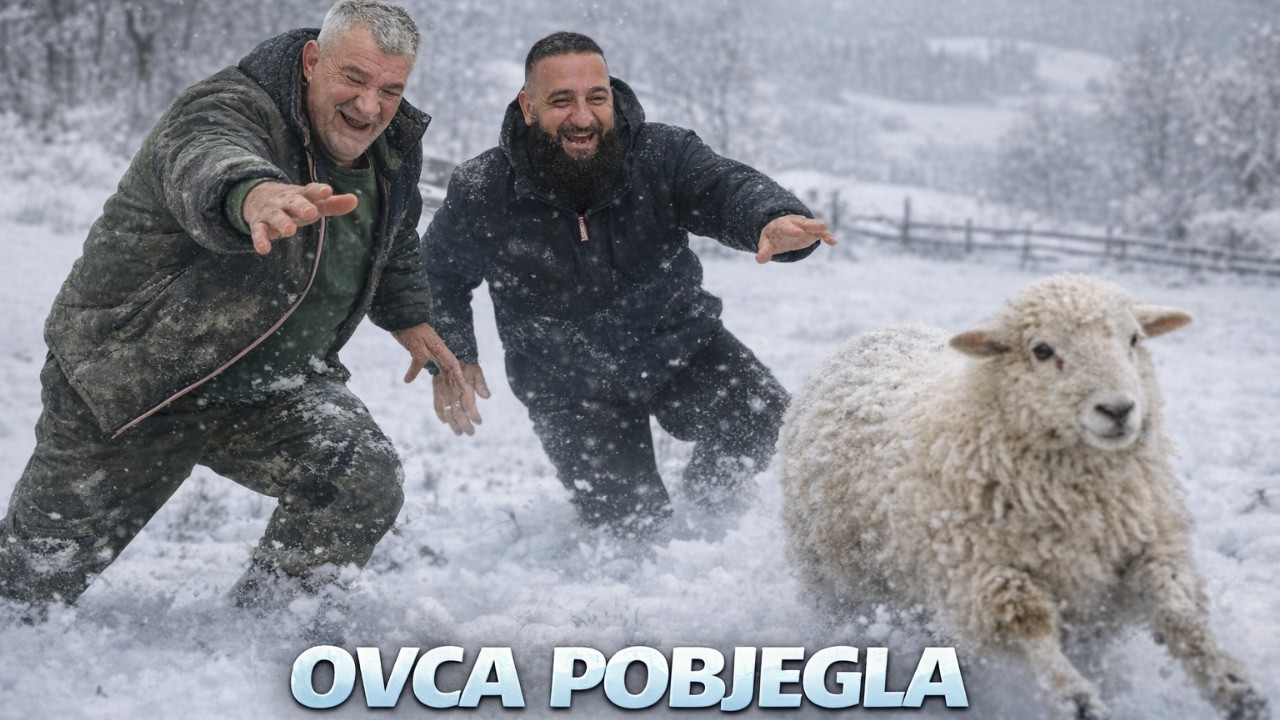 ROLE I ENIZ NAKON DUŽE VREMENA - SMIJEH DO SUZA😂