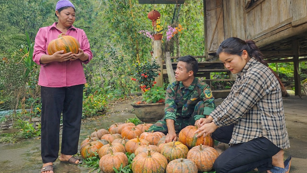 My Mom Comes to Demand Money - Harvesting Pumpkins to Sell at the Market  | Ly Tieu Ha's Husband