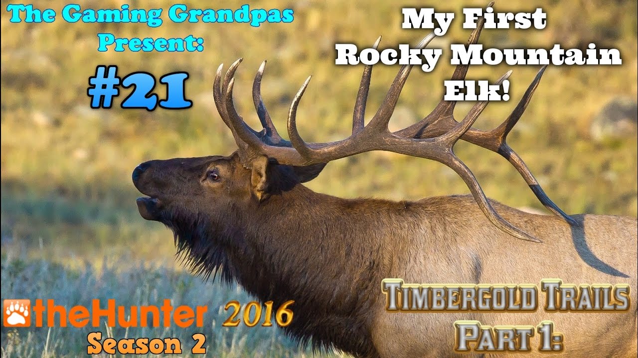 Timbergold Trails - Part 1: My First Rocky Mountain Elk! -  theHunter (2016)