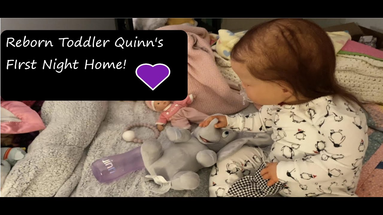 Reborn Toddler Quinn’s First Night Home!