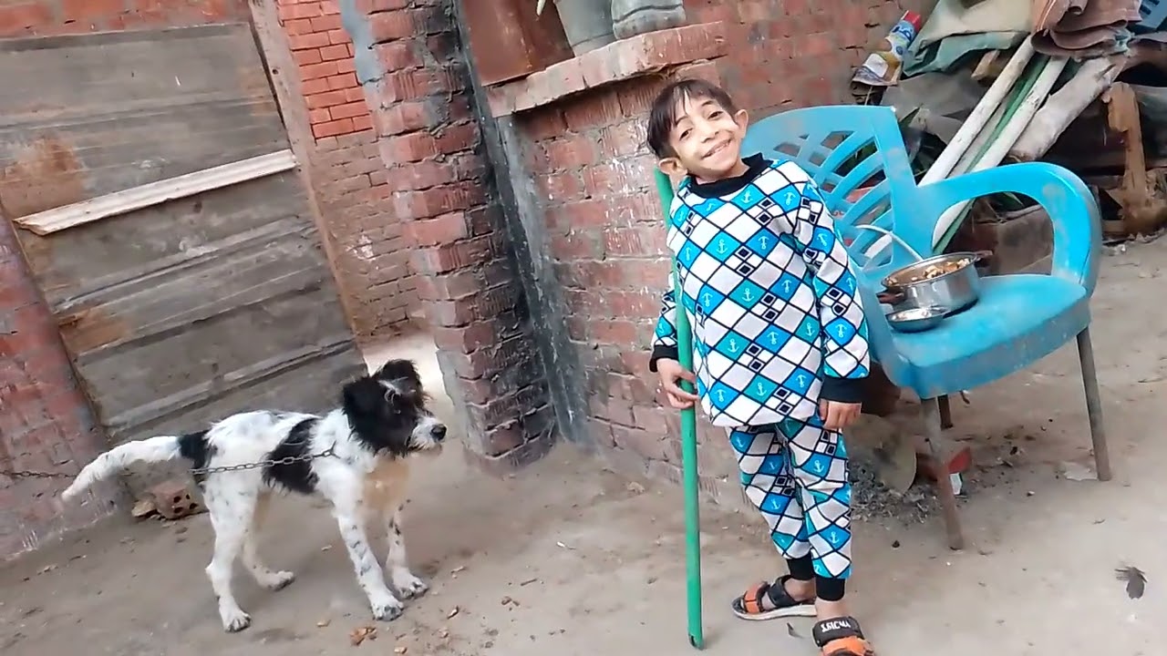 كلبتي بتاكل حاجات غير متوقعة 