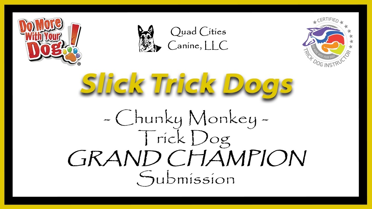 Chunky Monkey's Trick Dog Grand Champion Submission