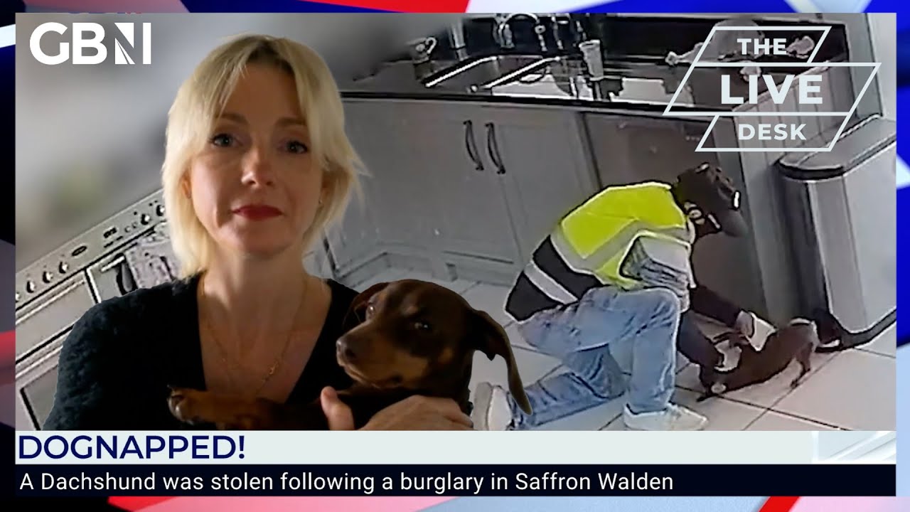 Dognapping: Dachshund Twiglet returned home after online reaction to footage of burglary