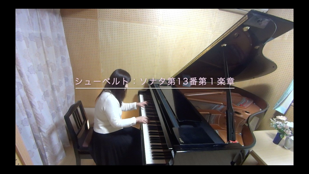 シューベルト：   piano sonata D664  Op.120第１楽章