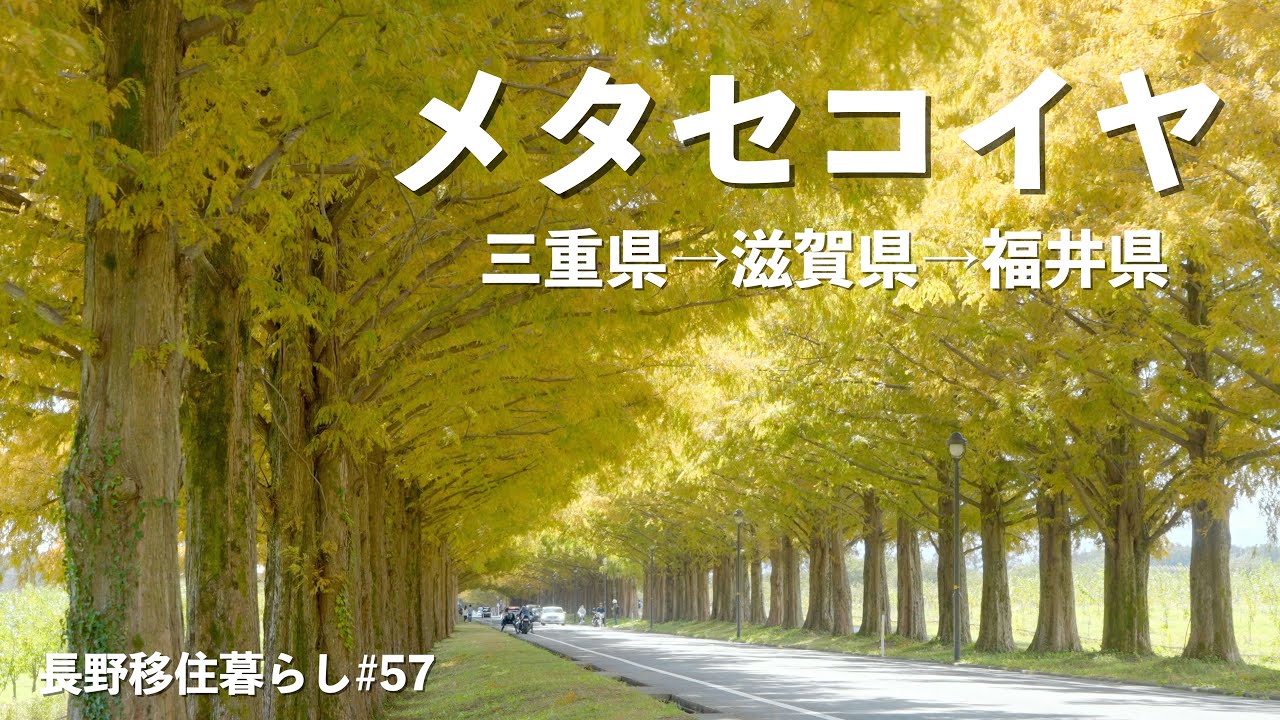 三重県から琵琶湖を通り日本海へ!!｜琵琶湖｜メタセコイヤ｜鯖街道｜ドライブ｜田舎暮らし｜長野県｜4K